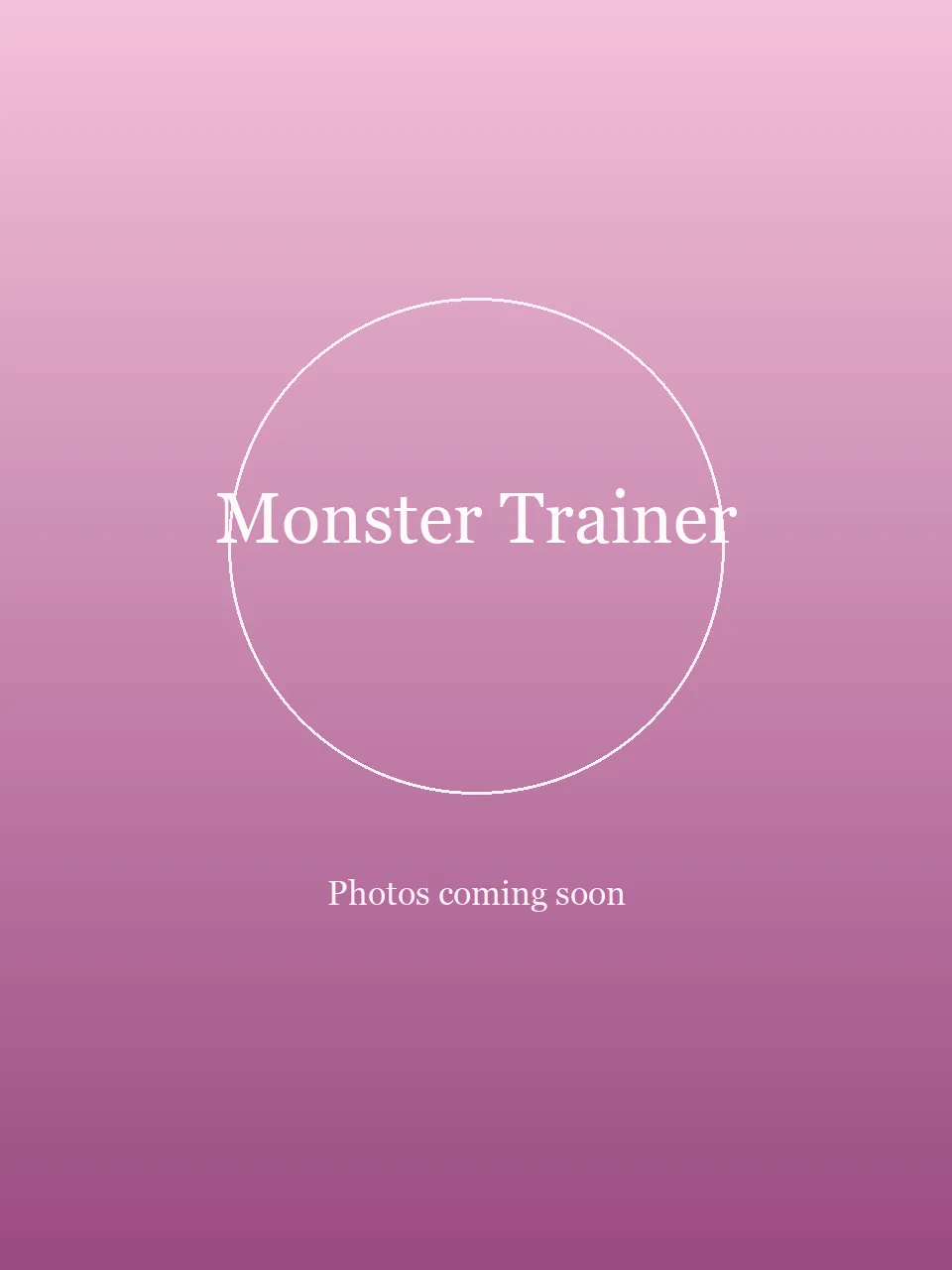 Monster Trainer party character in Boston