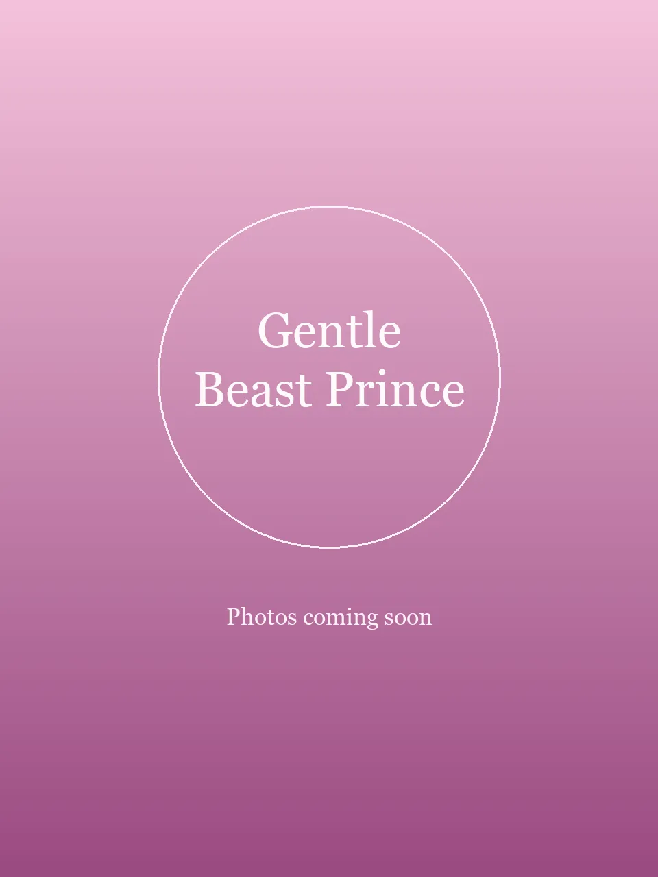 Gentle Beast Prince party character in Boston