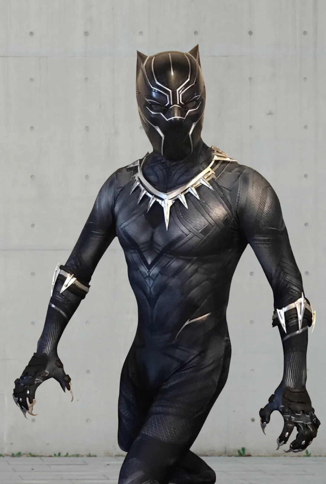 Panther Hero party character in Boston
