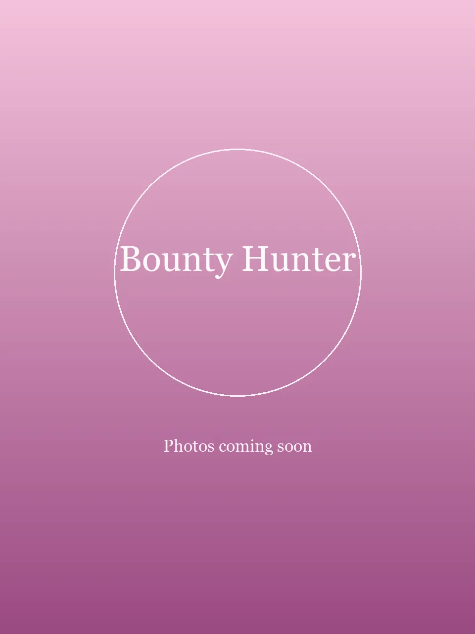 Bounty Hunter party character in Boston