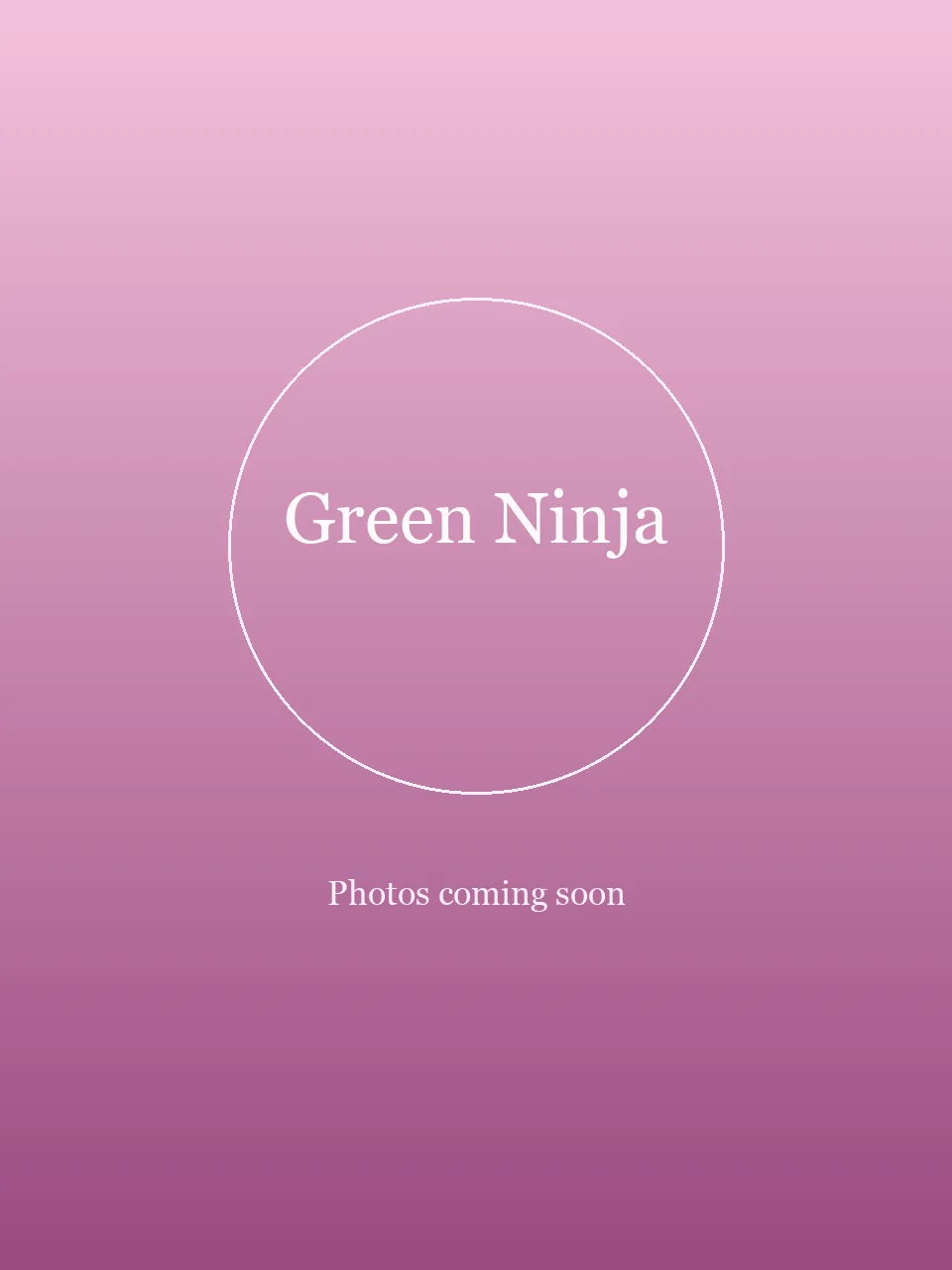 Green Ninja party character in Boston