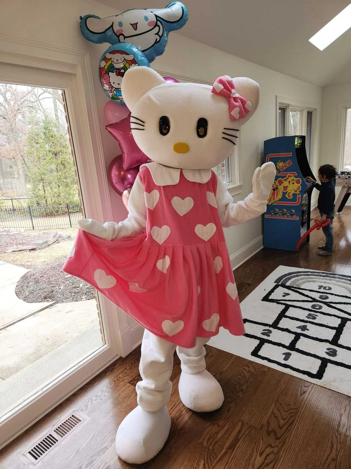 Princess Kitty party character in Boston