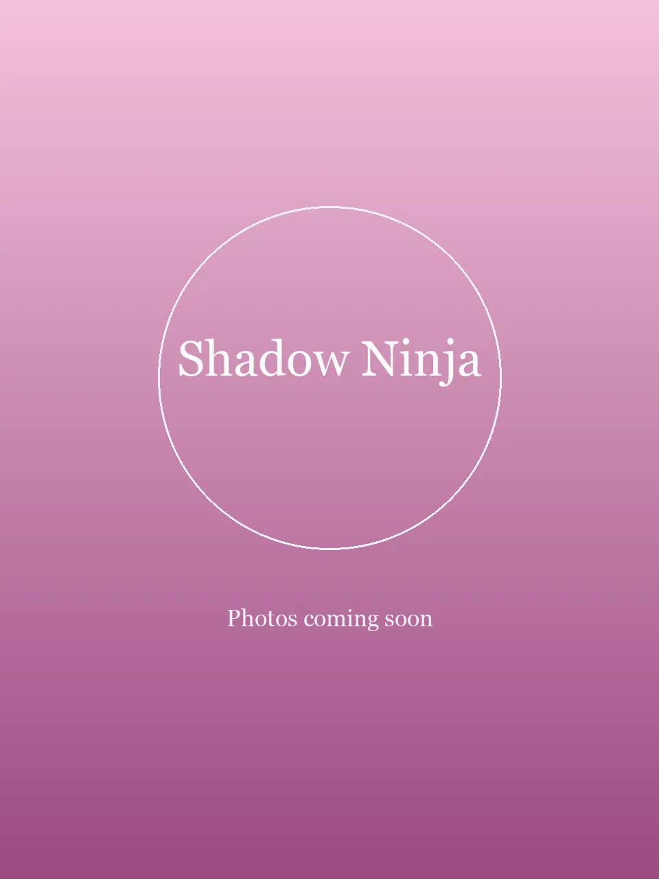 Shadow Ninja party character in Boston