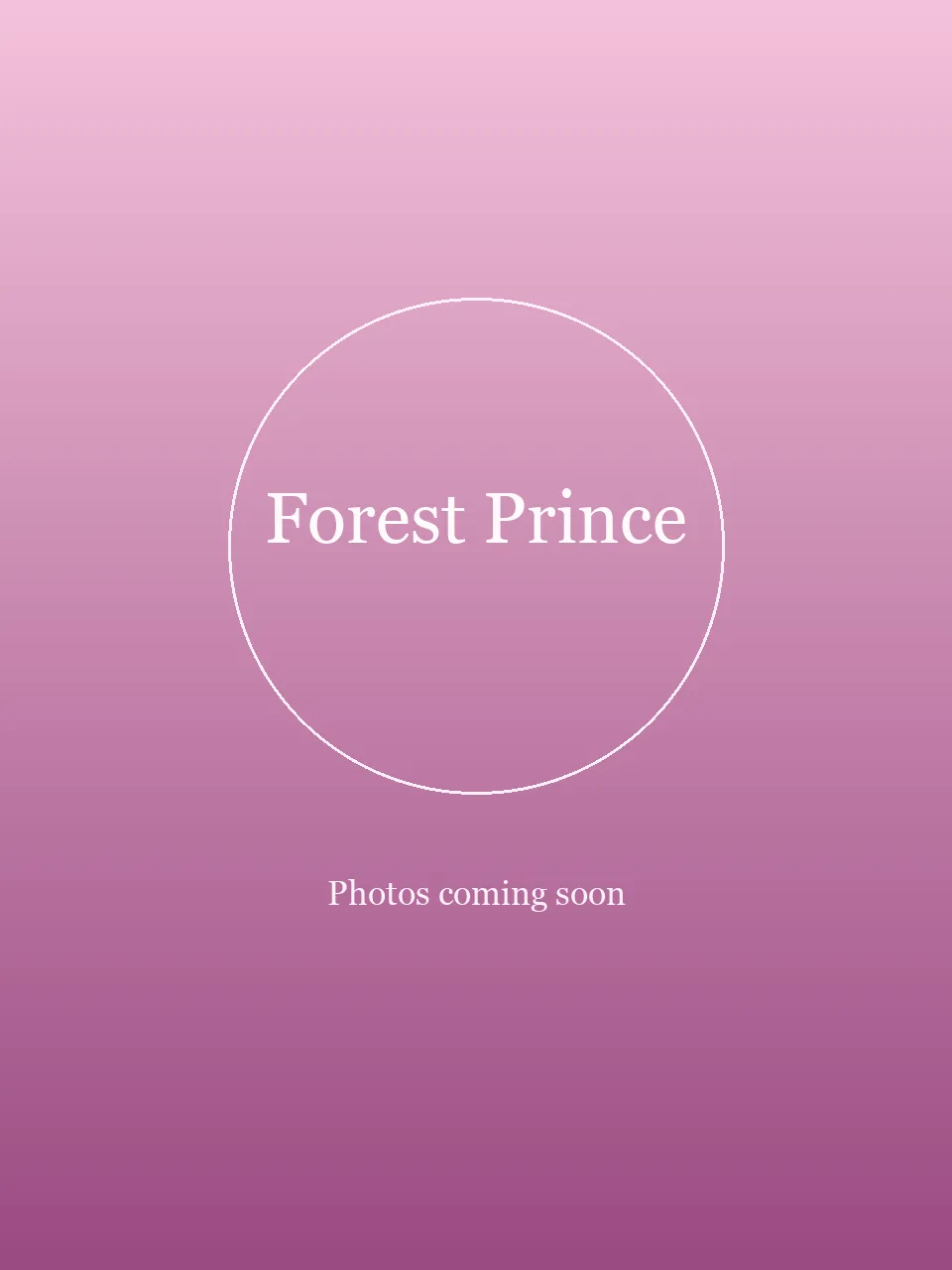 Forest Prince party character in Boston