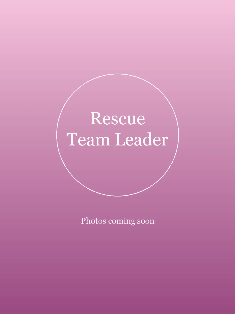 Rescue Team Leader party character in Boston