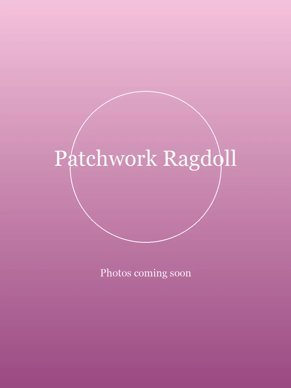 Patchwork Ragdoll party character in Boston